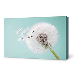 Canvas Wall Art for Living Room,Bedroom Home Artwork Paintings Dandelion Ready to Hang - 12x18 inches