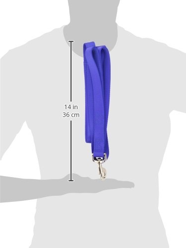 Loops 2 Double Handle Nylon Leash, 1" x 6'