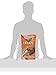 Buckeye All-Natural Sugar-Free Carrot Crunchers Horse Treats, 4 Pound Bag