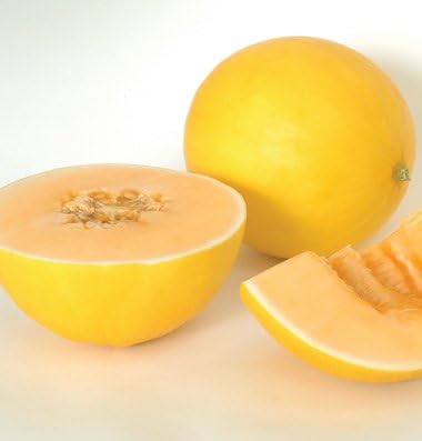 10+ Rare Honey Yellow Sweet Melon Seeds