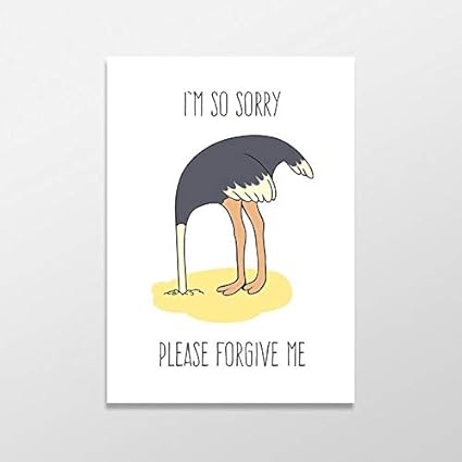 I Am Sorry Cheezburger Funny Memes Funny Pictures