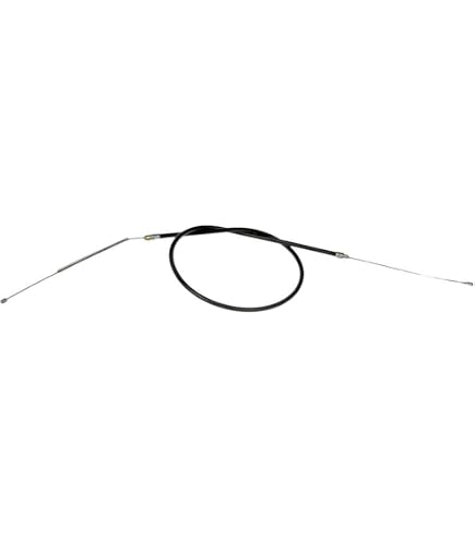 583079_3