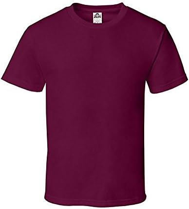 Alstyle Men's Classic Cotton Crew Neck Short Sleeve Pre Shrunk T-Shirt (Large, Burgundy)