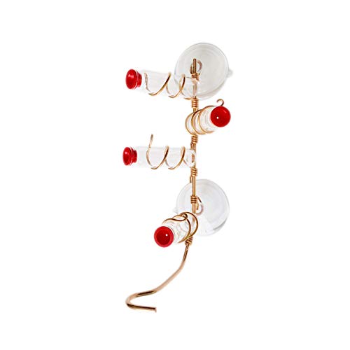 Amazon Com Sweet Feeders Window Hummingbird Feeder Handcrafted