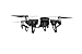PolarPro Landing Gear/Leg Extensions for DJI Mavic Air