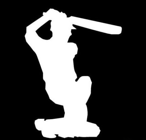 Cricket Bat Batsman Sport - Decal Sticker, Die cut vinyl decal for windows, cars, trucks, tool boxes, laptops, MacBook - virtually any hard, smooth surface