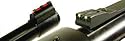 Fire Sights Ruger 10 / 22