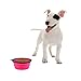 Popetz Collapsible Pet Bowl, Portable Dog Travel Bowls for Small and Medium Dogs and Cats,13 oz (Small, Pink)