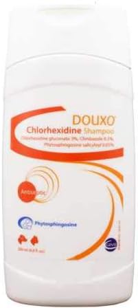 how old is my dachshund