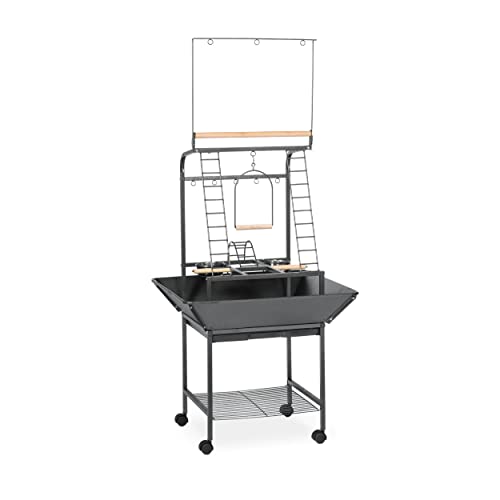 Prevue Pet Products Parrot Play Stand