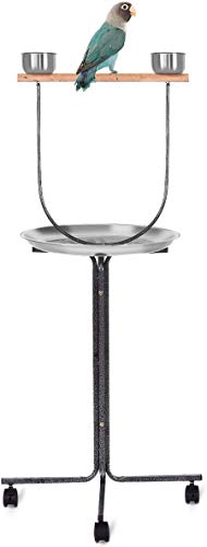 PETSITE Bird Perch Stand Stainless Steel Parrot Training Perch Stand with Feeding Bowls & Potty Tray & Wheels, Large Parrot Play Stand, Height 51″ Inch