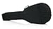 Gator Cases Lightweight Polyfoam Guitar Case for Acoustic Bass Guitars (GL-AC-BASS)