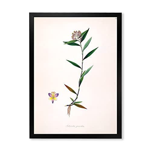 DesignQ Vintage Botanicals XIX Farmhouse Framed Wall Art