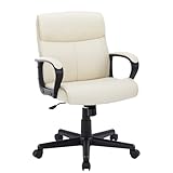 Sweetcrispy Executive Office Chair with Padded