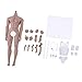 Flameer 1/6 Steel Skeleton Male Muscular Seamless Figure Strong Body & Accessories - Normal Skin