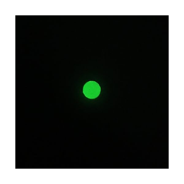 Wildlife-Luminous-Beads-Oval-Shaped-Beads-circle-Beads-Fishing-Lures-Fishing-Bead-Fishing-Tackle-Tools-Eggs-glow-fishing-beads-green