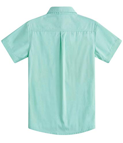 1 Spring+Gege+Sleeve+Formal+Cotton