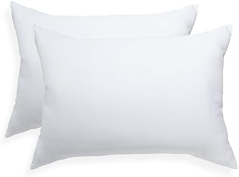 Pegasus Home Fashions EZ Dreams Microfiber Pillow, Standard, 2-Pack