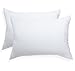 Pegasus Home Fashions EZ Dreams Microfiber Pillow, King, 2-Pack