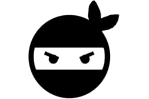 Shadow Ninja Rush FTV Edition