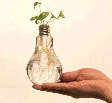Urdhva Retail Bulb Lamp Shape Glass Vase Hanging Bottle Terrarium Hydroponic Container Home Decor