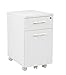 OSP Designs Pro-Line II PRD3085-WH Prado Mobile File in with Hidden Drawer and Castors, White