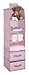 Delta Children 6 Shelf Hanging Wall Storage with 2 Drawers - Easy Storage/Organization Solution- Holds Sweaters, Shirts, Pants, Accessories & More - Movable Drawers Allow for Customization, Pink