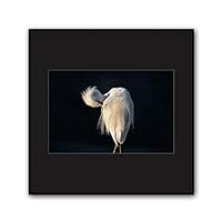 Framed Canvas Wall Art A Bird Standing on Canvas Prints Home Artwork Decoration for Living Room,Bedroom - 16x16 inches