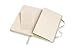 Moleskine Classic Notebook, Large, Ruled, Willow Green, Hard Cover (5 x 8.25)