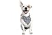 Mighty Ropes American Flag Dog Bandana - USA Dog Bandana - American Flag Bandana - Patriotic Flag - for All Dogs (Large)