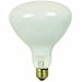 Feit Electric 300 Watt Soft White R40 Dimmable Incandescent Pool and Spa Flood Light Bulb (300R/FL-130)