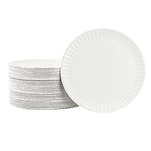 PARTY BARGAINS 9 Inch Uncoated White Paper Plates (300 Count