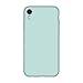 DTTO Compatible with iPhone XR Case, [Romance Series] Silicone Case with Hybrid Protection for iPhone XR 6.1 Inch - Mint Green