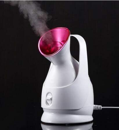 Nano Ionic Warm Mist Facial Steamer Personal Sauna Spa Quality Salon Skin Care Face Moisturizing Sprayer 220V Eu