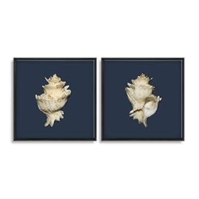 2 Piece Framed Canvas Wall Art for Living Room, Bedroom Conch Theme Canvas Prints for Home Decoration Ready to Hang - 16"x16"x2 Panels