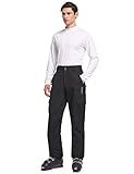 BALEAF Men’s Ski Pants Windproof Snow/Snowboarding Insulated Pants Windbreaker/Waterproof 5K/5K