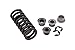 XtremeAmazing Front or Rear Door Hinge Pin and Spring with Bushing Kit 2 Pin 1 Door for 1994-2004 Chevy S10 GMC S15
