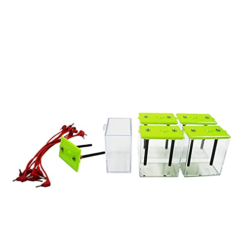 Jieoto Water Electrolysis Apparatus Electrolyte Solutions Conduct