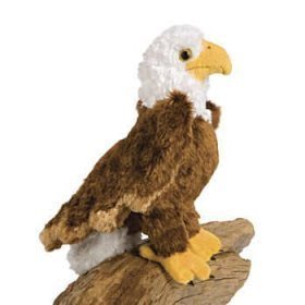 Douglas Colbert Eagle