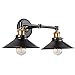 Linea di Liara Andante 2 Light Bathroom Vanity Light Industrial Gold and Matte Black Light Fixtures Above Mirror Light Farmhouse Vanity Lights for Bathroom Lighting, Bulb Included