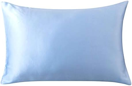 100% Natural Pure Silk Pillowcase for Hair and Skin, Both Side 19mm, Hypoallergenic, 600 Thread Count, Hidden Zipper Design (King, Light Blue)