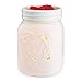 Candle Warmers Etc. Mason Jar Illumination Fragrance Warmer (1) primary