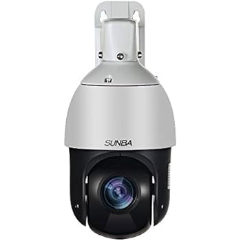 Amazon.com : 30X Optical Zoom 4" Size 4MP IP PTZ Dome