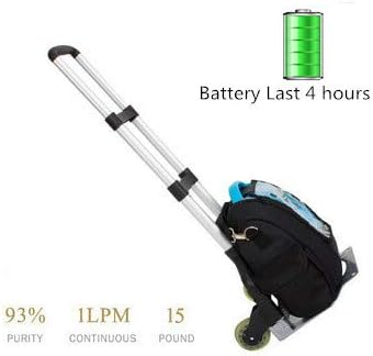 Portable Oxygen Concentration Maker Oxygen Bar for Travel Home Use with Battery Car Inverter Trolley Bag