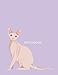 sketchbook: Sphynx cat on purple cover (8.5 x 11) inches 110 pages, Blank Unlined Paper for Sketchin by cutie cat