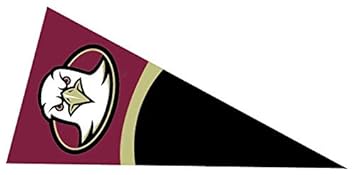 Amazoncom 10 Inch Bc Golden Eagle Logo Pennant Decal Flag