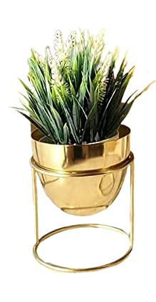 Plant World Decor Modern Plant Stand- Set with Tall Metal Stand, Decorative Standing Flower Succulent Pot Holder, Indoor Outdoor Terrace Patio Home Decor (Gold)