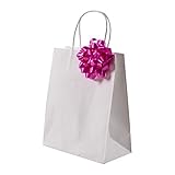 Premium White Kraft Paper Bag Set By Oasis Creations - 8