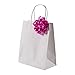 Premium White Kraft Paper Bag Set By Oasis Creations - 8