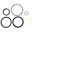 SKYJACK SEAL KIT - JIB CYLINDER 700456
